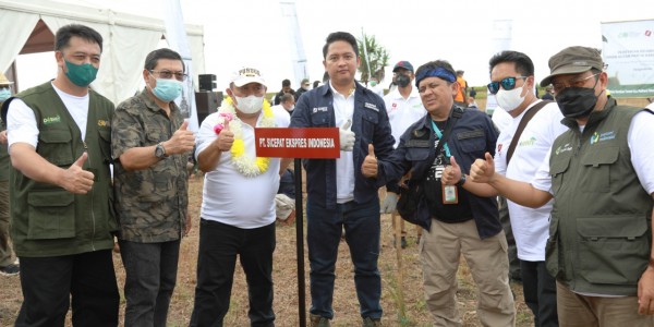 Dukung Rehabilitasi Hutan Pantai Karang Tirta Pangandaran, SiCepat Ekspres Tanam 20 Ribu Bibit Pohon