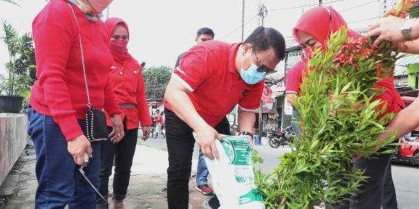 Ahmad Basarah: PDIP Rayakan HUT Partai dan Megawati dengan Gerakan Tanam Pohon 
