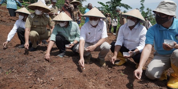 Atasi Ketergantungan Impor Kedelai, Kacang Koro Pedang Bisa Jadi Alternatif