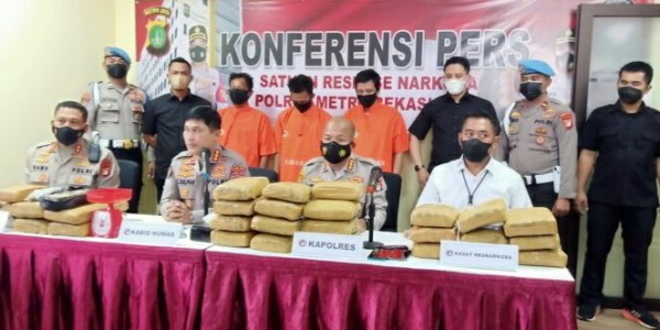 Polres Kota Bekasi Sita 31 Kilogram Ganja Siap Edar Asal Sumatera Utara