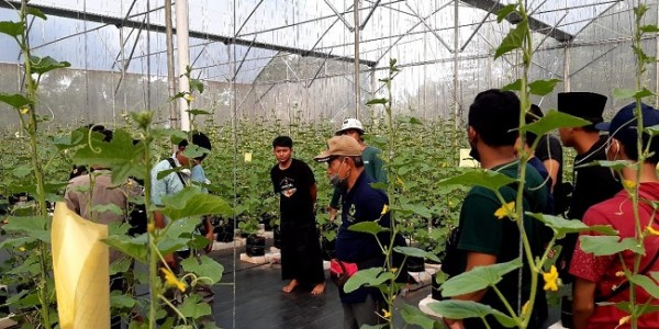 Kiprah Tiga Pendatang Baru Lembaga Inkubator LPDB-KUMKM Tahun 2022