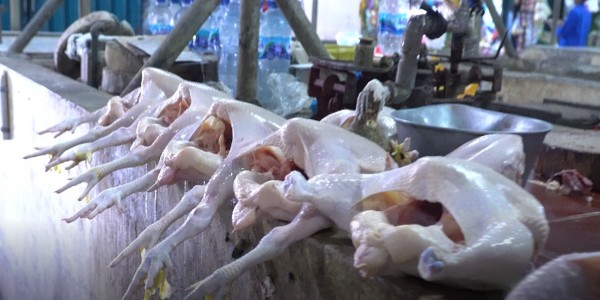 Kementan: Pasokan Daging Sapi, Ayam dan Telur di Jateng Aman