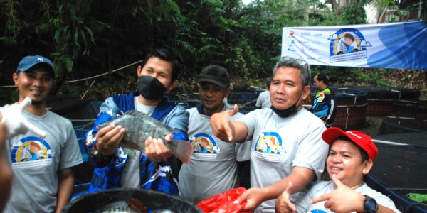 Journalis Mancing Indonesia Panen Raya Ikan Nila