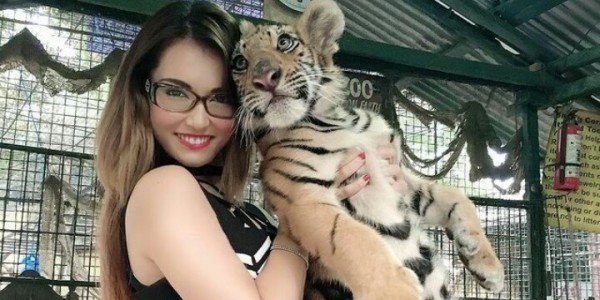 Miyabi Bakal Gelar Gala Dinner di Jakarta, Begini Kata Wagub DKI