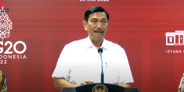 Ancamannya Terlambat, Luhut Dinilai Cuma Sekedar Gagah-gagahan Atasi Masalah Migor