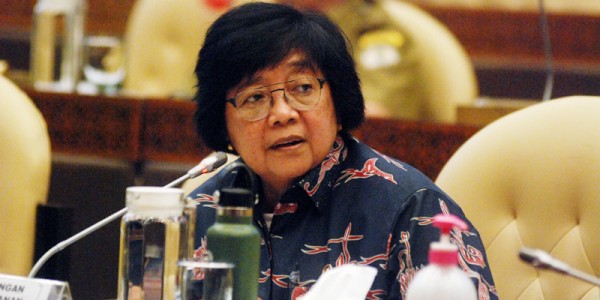 Menteri LHK Siti Nurbaya Raker Dengan Komisi IV
