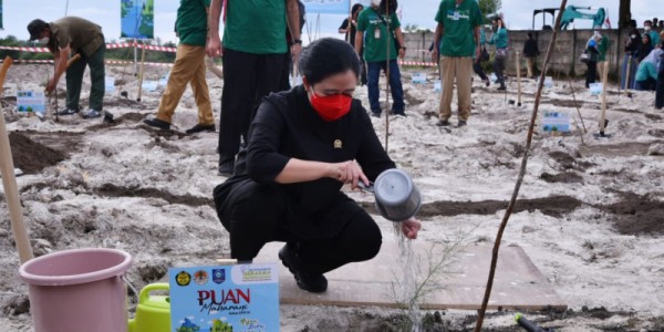 Puan Pimpin Penghijauan di Lahan Eks Tambang di Babel: Jangan Habis Manis Sepah Dibuang