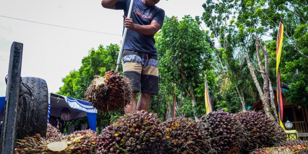 PKS: Program Biodiesel 40 Persen Penyediaannya Jangan Itu Melulu