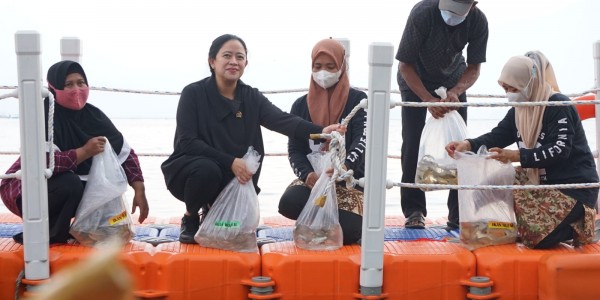 Tebar Benih Ikan, Puan Sebut Waduk Jatiluhur Seperti Lokasi Drakor Crash Landing On You