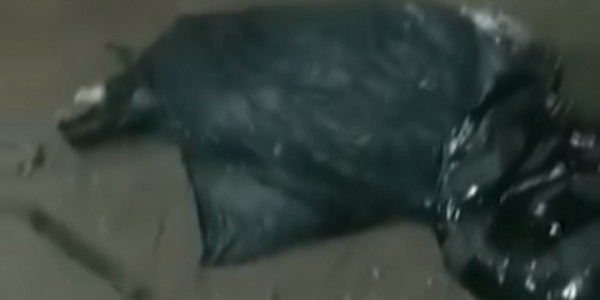 Kasus Mayat Wanita Terbungkus Plastik di Kalimalang, Polisi Amankan Seorang Pria