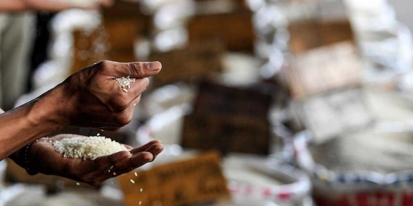 Impor Beras 200 Ribu Ton, Pemerintah Tak Serius Jaga Kedaulatan Pangan