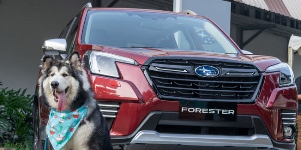 Subaru Hadir di Pet Kingdom PawJog 2022