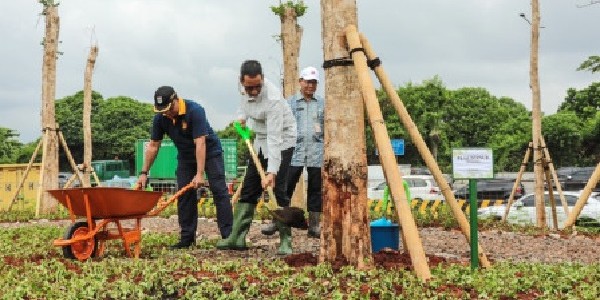 Jelang KTT ASEAN 2023, Pemprov DKI Lakukan Penghijauan di Sepanjang Sisi Jalan Tol