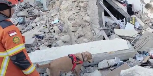 Setibanya di Turki, Tim Kemanusiaan Polri Langsung Bergerak Cari Korban Gempa