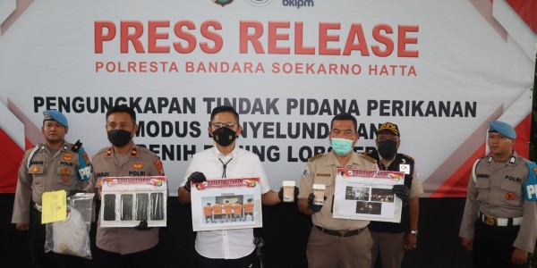 Polresta Bandara Soetta Gagalkan Penyelundupan Ribuan Bibit Lobster Senilai Rp 4,1 Miliar