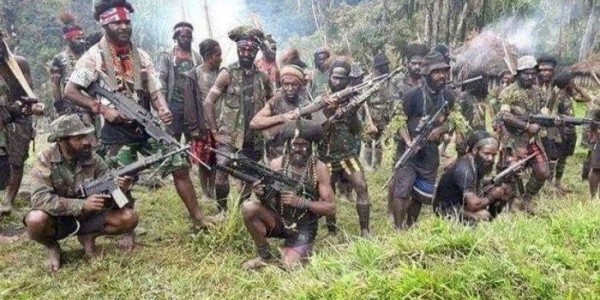 Berantas KKB di Papua, Semua Pihak Diimbau untuk Turun Tangan