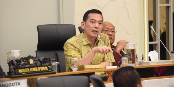 Legislator Minta Pemerintah Kaji Ulang Rencana Impor Beras 2 Juta Ton