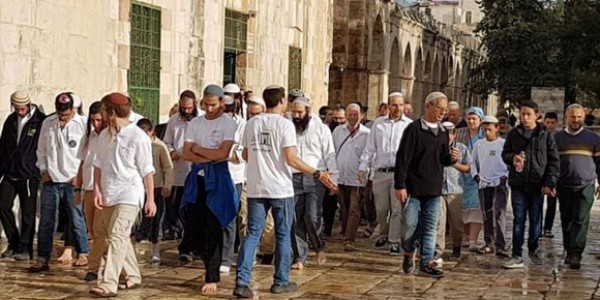 Seorang Pria Palestina Diduga Lakukan Penikaman Ditembak Mati Warga Israel