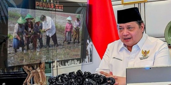 Elektabilitas Airlangga Tinggi, Pengamat Politik Unair Sarankan Nyapres