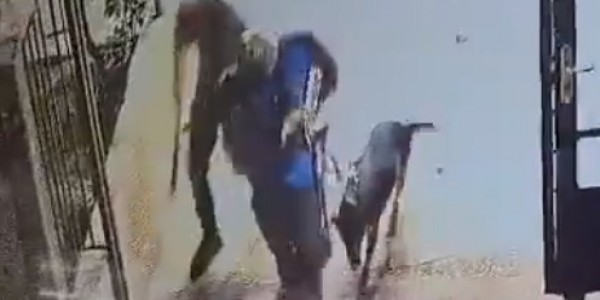 Pemukim Israel Bawa Anjing Masuk Masjid, Robek dan Injak-injak Alquran