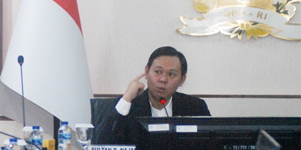 3,3 Juta Ha Lahan Sawit Diputihkan, Sultan B. Najamudin: Perburuk Citra Komoditas Sawit Indonesia 