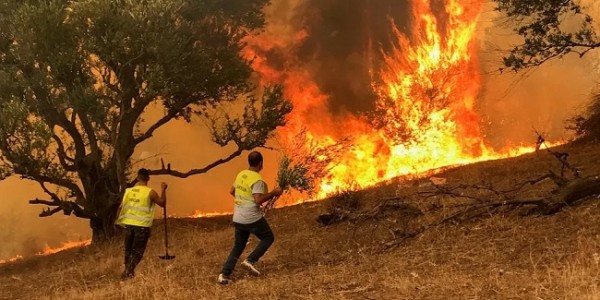 Kebakaran Hutan di Aljazair Tewaskan Sedikitnya 15 Orang, Banyak Tentara Jadi Korban