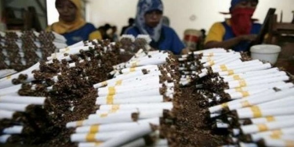 Cukai Hasil Tembakau Naik, Pemerintah Diminta Perhatikan Nasib Tenaga Kerja 