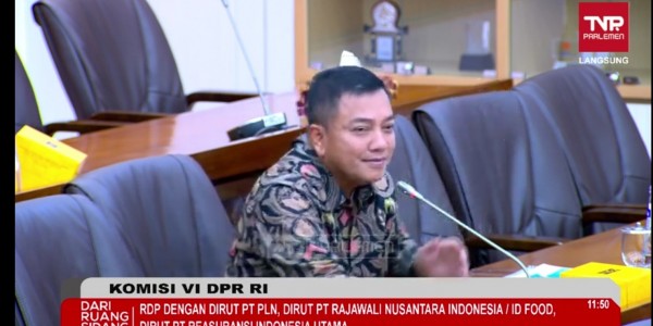 Semprot Dirut Reasuransi Indonesia, Komisi VI DPR: Dengarin Dong Orang Ngomong!