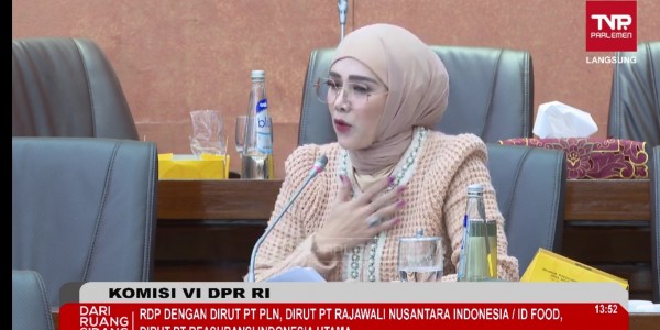 Mulan Jameela Dukung Sejuta Persen Program Listrik Desa PLN