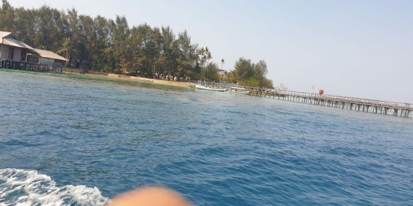 Dugaan Illegal Logging di Pulau Tengah Karimunjawa Catut Nama Petinggi Penegak Hukum