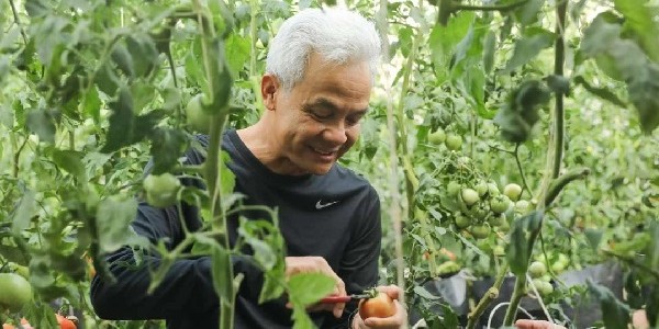 Bahas soal Ketahanan Pangan, Ganjar Diskusi dengan Petani Milenial di Cianjur
