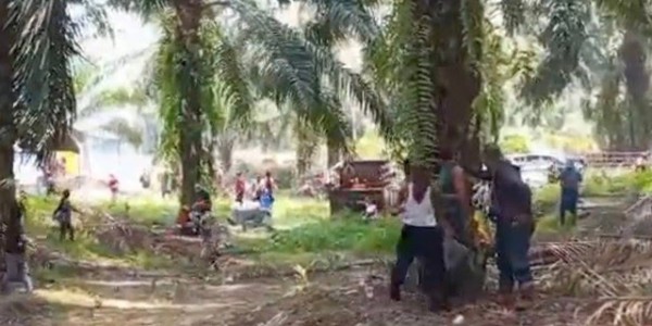 YLBHI Ungkap 1 Warga Seruyan Kalteng Wafat Ditembak Polisi saat Demo