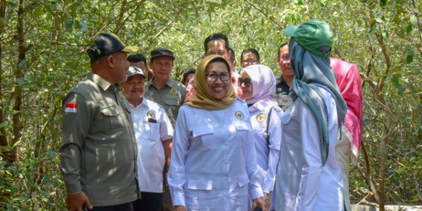 Hilirisasi Produk Mangrove Bisa Jadi Alternatif Buka Lapangan Kerja