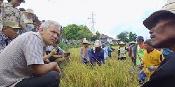 Ganjar Komitmen Sediakan Pupuk yang Berkualitas dan Mudah Didapatkan Petani