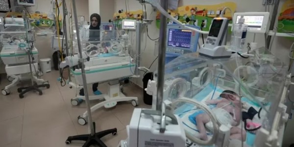 Kekurangan Oksigen, Bayi Prematur dan Pasien ICU RS Al-Shifa Gaza Meninggal