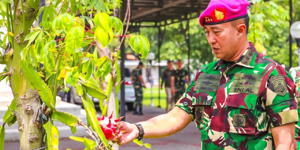 Dankodiklatal Panen Raya Buah Naga di Taman Dispen Kodiklatal