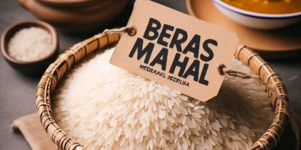Beras Langka dan Mahal, Disebabkan Kebijakan Bansos Ugal-ugalan