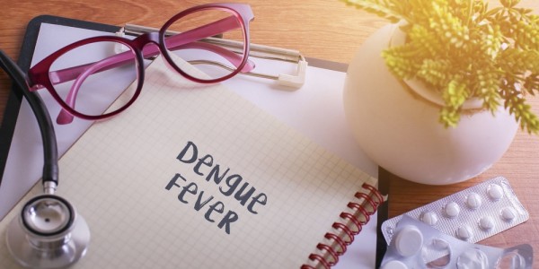 Peringati Hari DBD Nasional, Waspadai Penyakit Akibat Gigitan Nyamuk