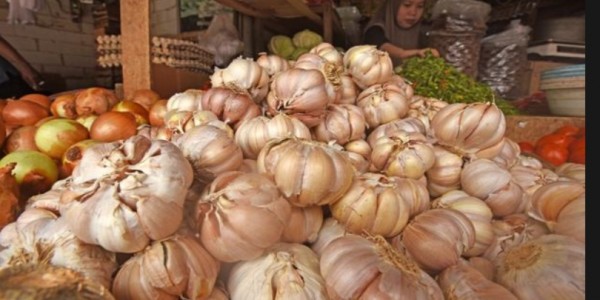 DPR Minta KPPU Investigasi Penyebab Harga Bawang Putih Belum Turun