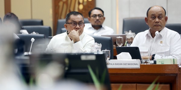 Badan Gizi Nasional RDP Dengan Komisi IX DPR