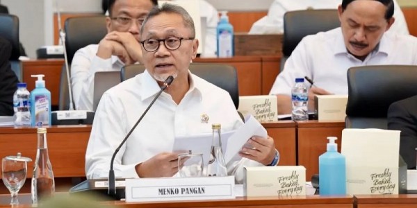 Menko Pangan Minta Tambahan Anggaran Rp505 M ke DPR, Buat Apa?