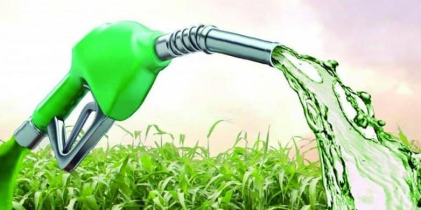 Kebijakan Cukai dan Bioetanol: Menuju Ekonomi Hijau yang Berkelanjutan