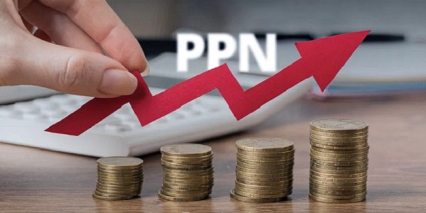 Ekonom Minta Pemerintah Perjelas Definisi Barang Mewah Terkait Kebijakan PPN 