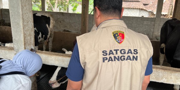 Kementan Gandeng Satgas Pangan Polri Awasi Penyerapan Susu Segar
