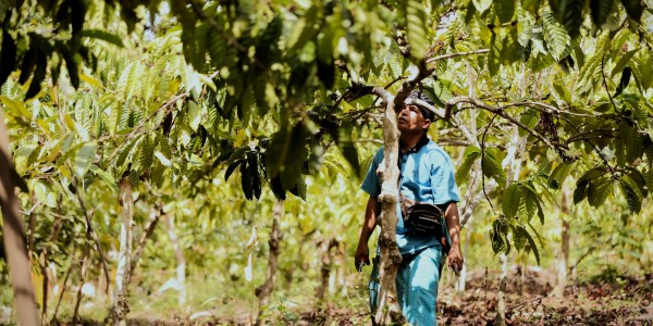 Lawan Rentenir, LPDB-KUMKM Beri Solusi Pembiayaan Terjangkau Bagi Masyarakat