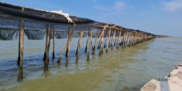 Segera Bongkar Pagar Laut, Pemerintah Jangan Lagi Menunda