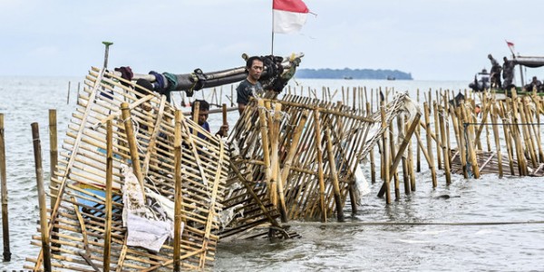Pembongkaran Pagar Laut oleh TNI AL karena Jalur Komando Birokrasi Tak Aktif