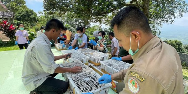Karantina Banten Berhasil Gagalkan Penyelundupan 700 Ekor Burung