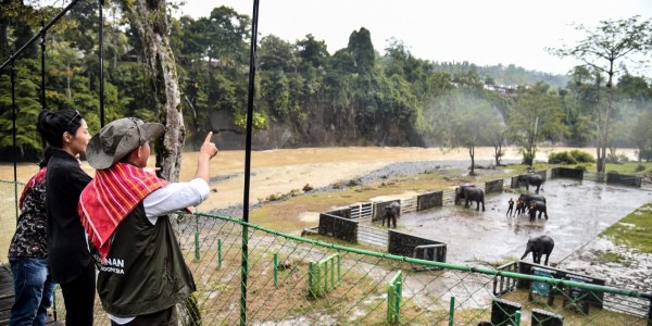 Menhut Kunjungi Tangkahan Sumut, Transformasi Pelestarian Alam dari Menebang hingga Menanam