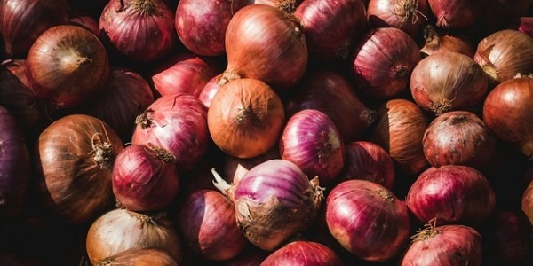 Kementerian Pertanian Pastikan Pasokan Bawang Merah Aman dan Harga Normal Pasca-Lebaran
